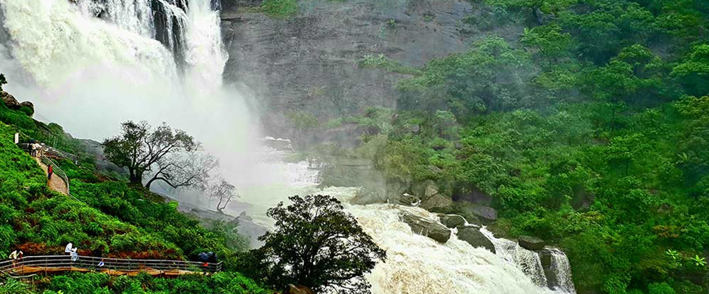 Coorg33