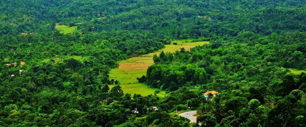 Coorg44