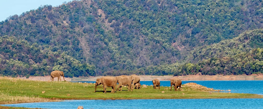 Corbett-2