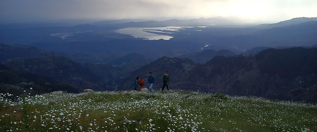 Dalhousie2